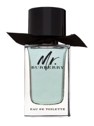 Mr. Burberry edt Men