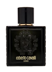 Roberto Cavalli Uomo edt Men