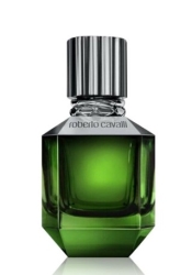 Paradise Found edt Men