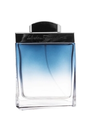 Subtil Pour Homme edt Men