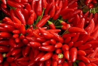 chili-pepper-perfumes