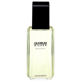 Quorum Antonio Puig Silver For Men EDT